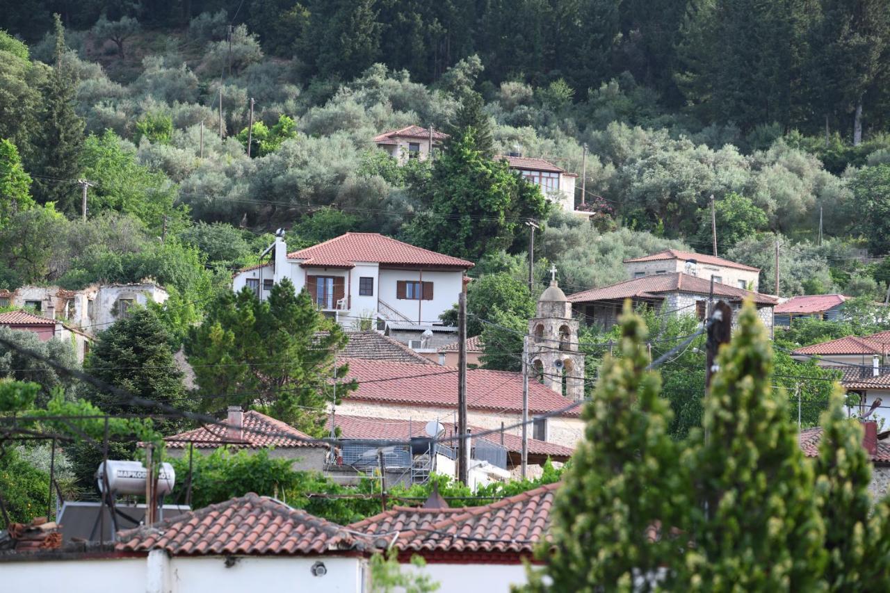 Art Flowers And Culture Mystras Luaran gambar